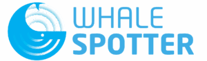 WhaleSpotter Logo