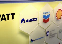 Innovating in the Age of Constraints: Roald Brouwer & Designed Serendipity 