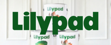 How this humidity-regulating paint helps control moisture in buildings: meet Lilypad
